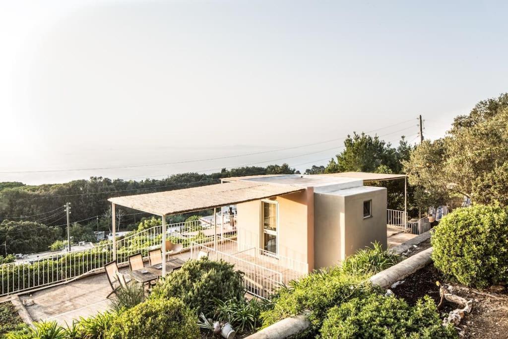Tiberio Capri